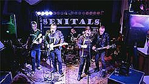 Senitals-yhtyeen konserttitaltiointi